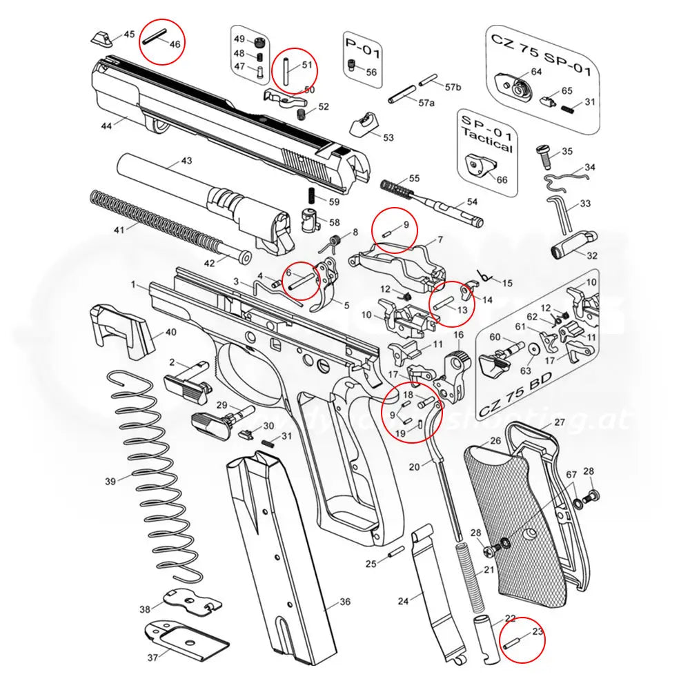Pins set for CZ pistols