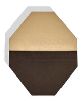 IPSC Target von Eemann Tech mit schwarz bemaltem Hardcover und weißer Wertungszonen für No Shoot Target